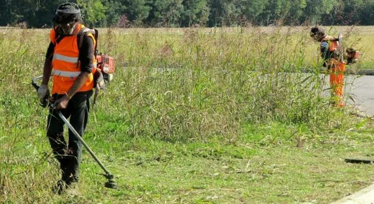 Ordinanza pulizia, cura e manutenzione dei fondi