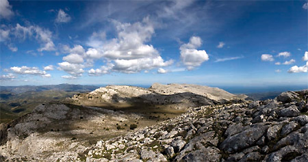 Panorama generale