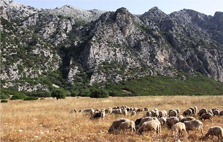 Vista del territorio