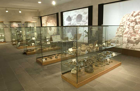Antiquarium, sala del primo piano. Alcune delle vetrine espositive.